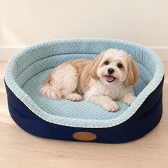 Oval Dog Bed with Raised Rim