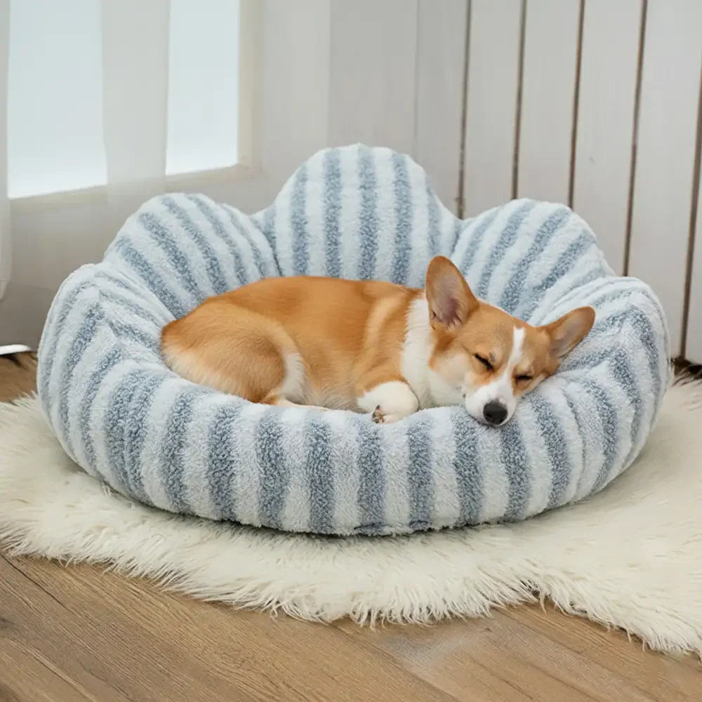 Scalloped Donut Dog Bed