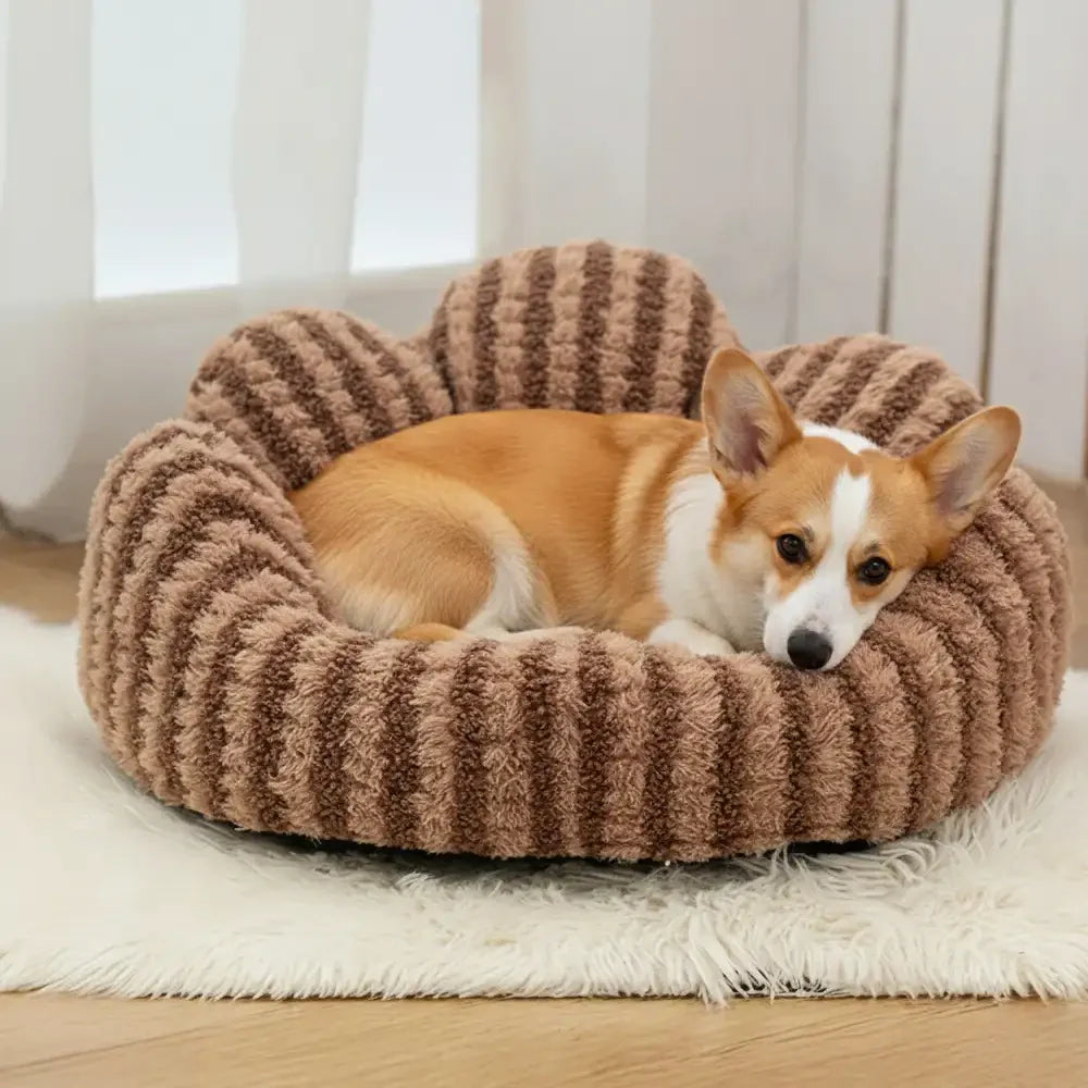Scalloped Donut Dog Bed